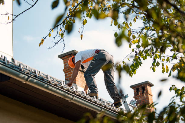 Best Chimney Flashing Repair  in West Union, IA