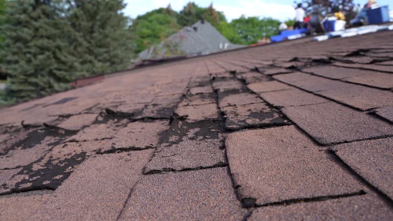 Best Roof Ventilation Installation  in West Union, IA