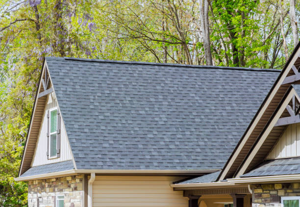 Best Roof Insulation Installation  in West Union, IA